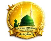 pakshanemadinahtravels.com